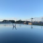 「犬神家の一族」あの“逆さ足”が映えスポット化、埼玉に期間限定で出現