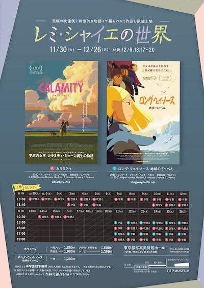 「レミ・シャイエの世界」チラシの表。