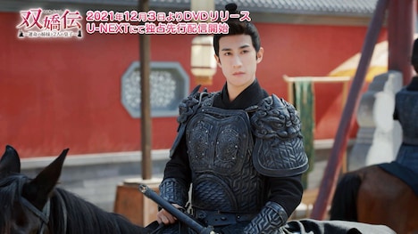 「双嬌伝（そうきょうでん）～運命の姉妹と2人の皇子～」