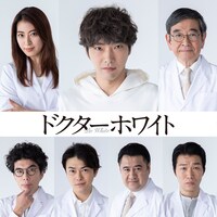 上段左から瀧本美織、柄本佑、石坂浩二。下段左から片桐仁、勝地涼、小手伸也、高橋努。