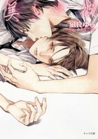 小説「美しい彼」