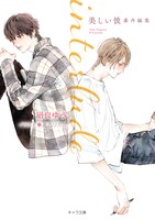 小説「interlude 美しい彼 番外編集」