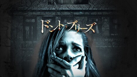 「ドント・ブリーズ」ビジュアル