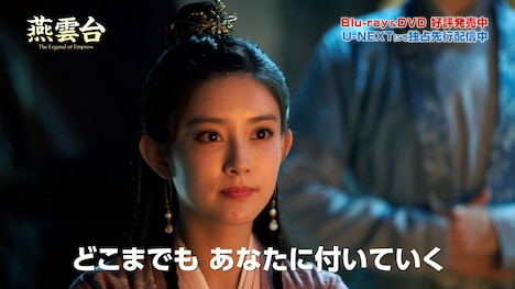 「燕雲台-The Legend of Empress-」