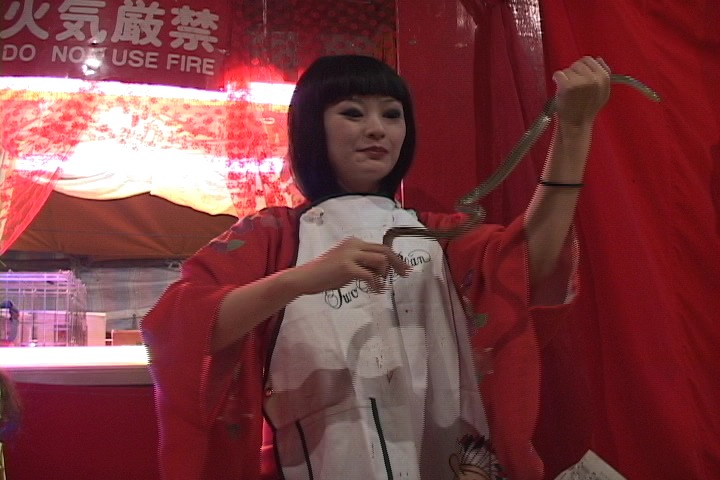 「ニッポンの、みせものやさん」場面写真