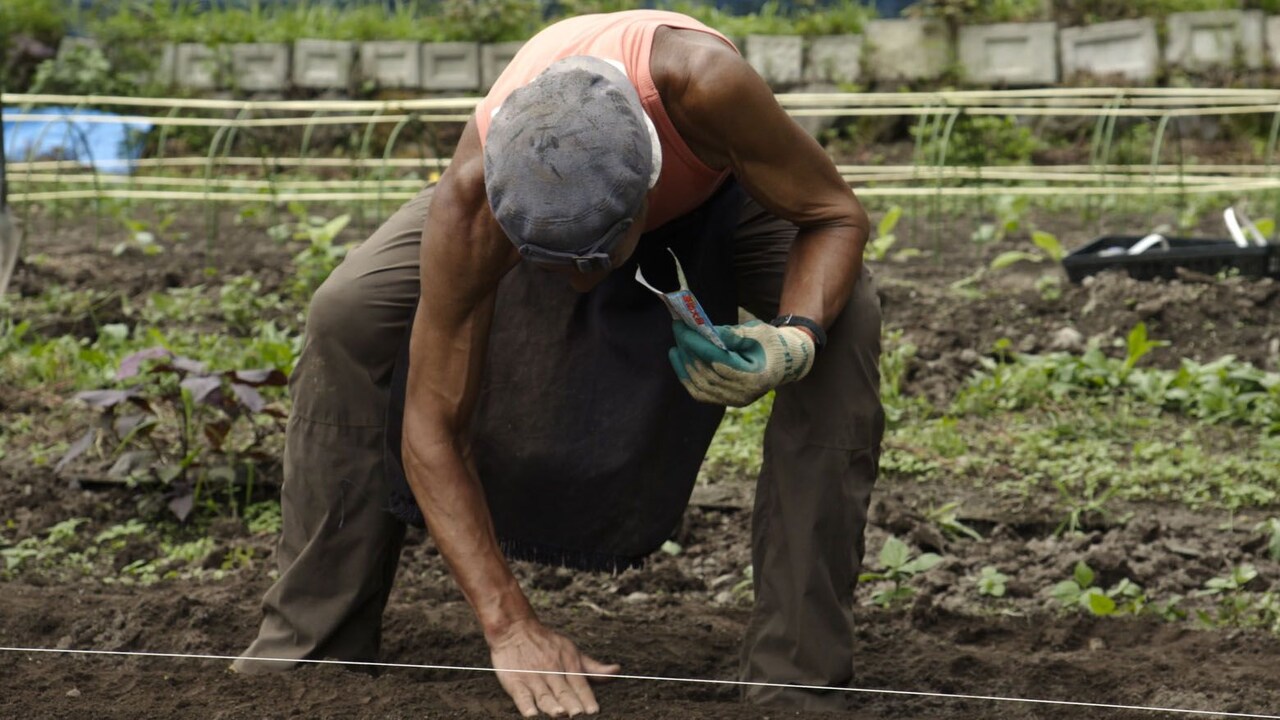 「名付けようのない踊り」田中泯ゆかりの地・山梨で先行上映、犬童一心との舞台挨拶も
