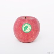 KIGA APPLEシール（税込330円）