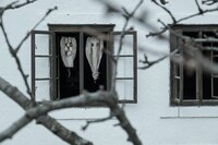 「ポスト・モーテム 遺体写真家トーマス」