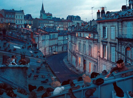 「フレンチ・ディスパッチ ザ・リバティ、カンザス・イヴニング・サン別冊」新場面写真