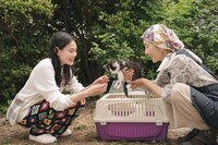 「猫は逃げた」新スチル (c)2021『猫は逃げた』フィルムパートナーズ