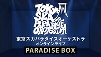 「東京スカパラダイスオーケストラ オンラインライブ『PARADISE BOX』」ビジュアル