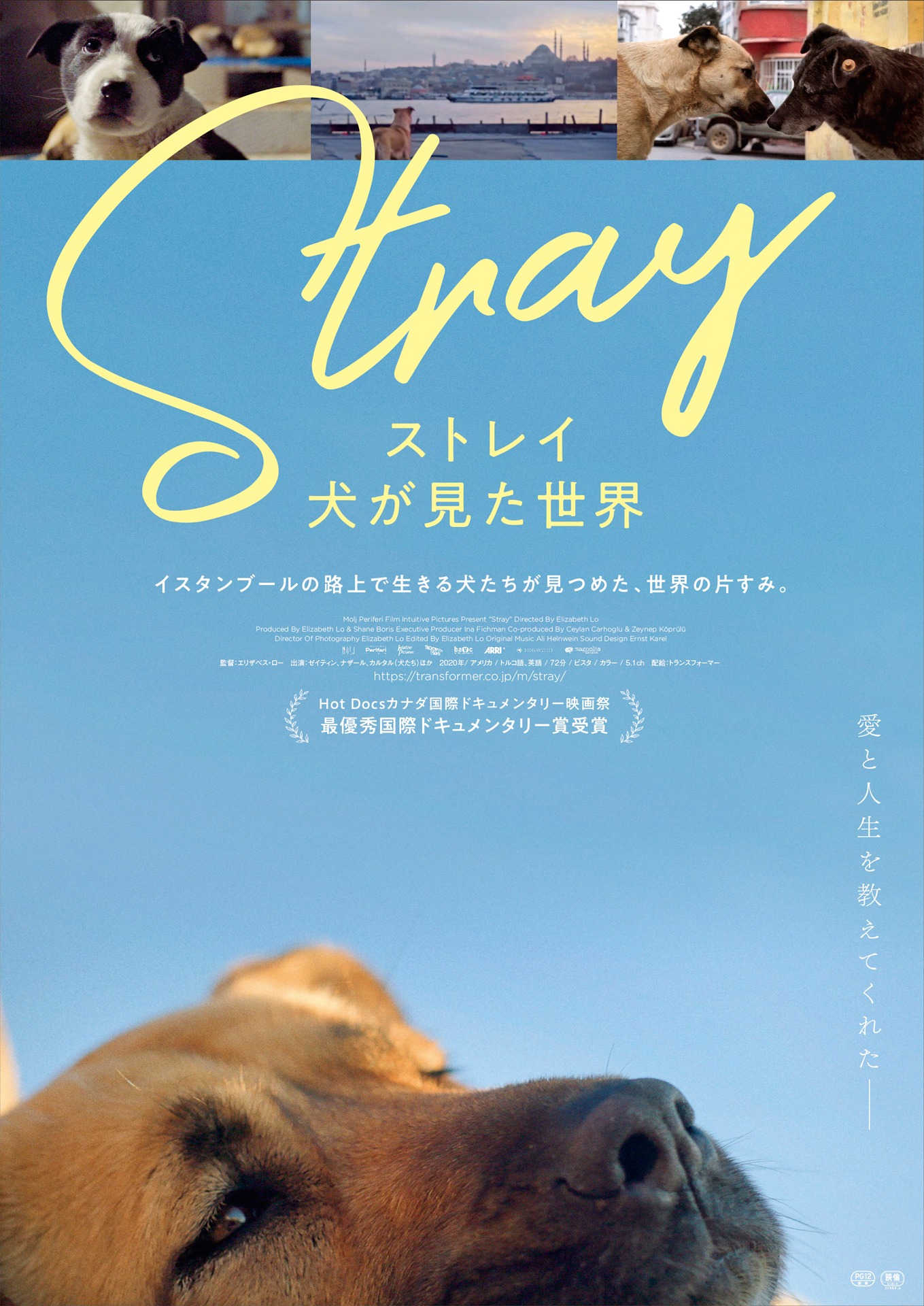 「ストレイ 犬が見た世界」ポスタービジュアル