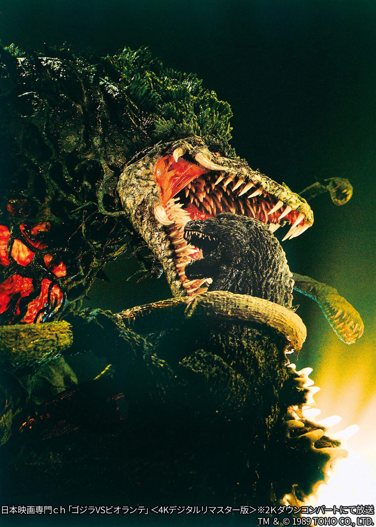 ゴジラVSビオランテ」 [画像ギャラリー 5/12] - 映画ナタリー
