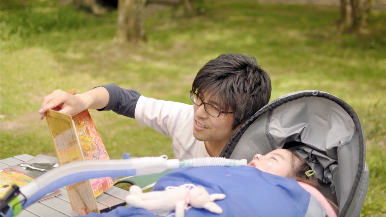 「帆花」