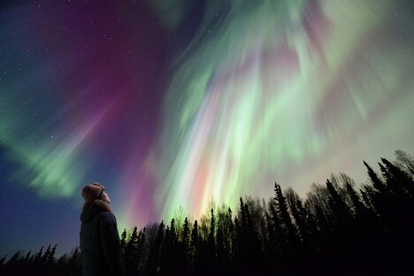 「流れ星を待つ夜に」