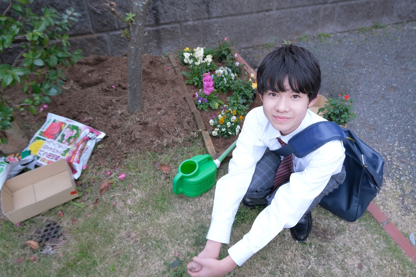 「シジュウカラ」新場面写真