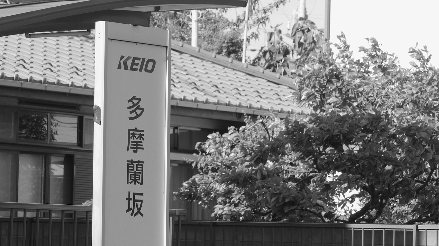 「たまらん坂」