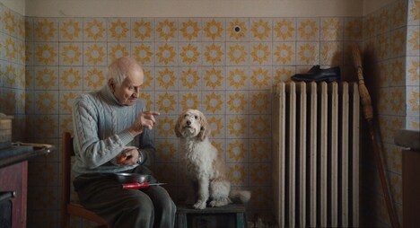 「白いトリュフの宿る森」新場面写真