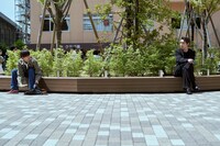 「真夜中乙女戦争」