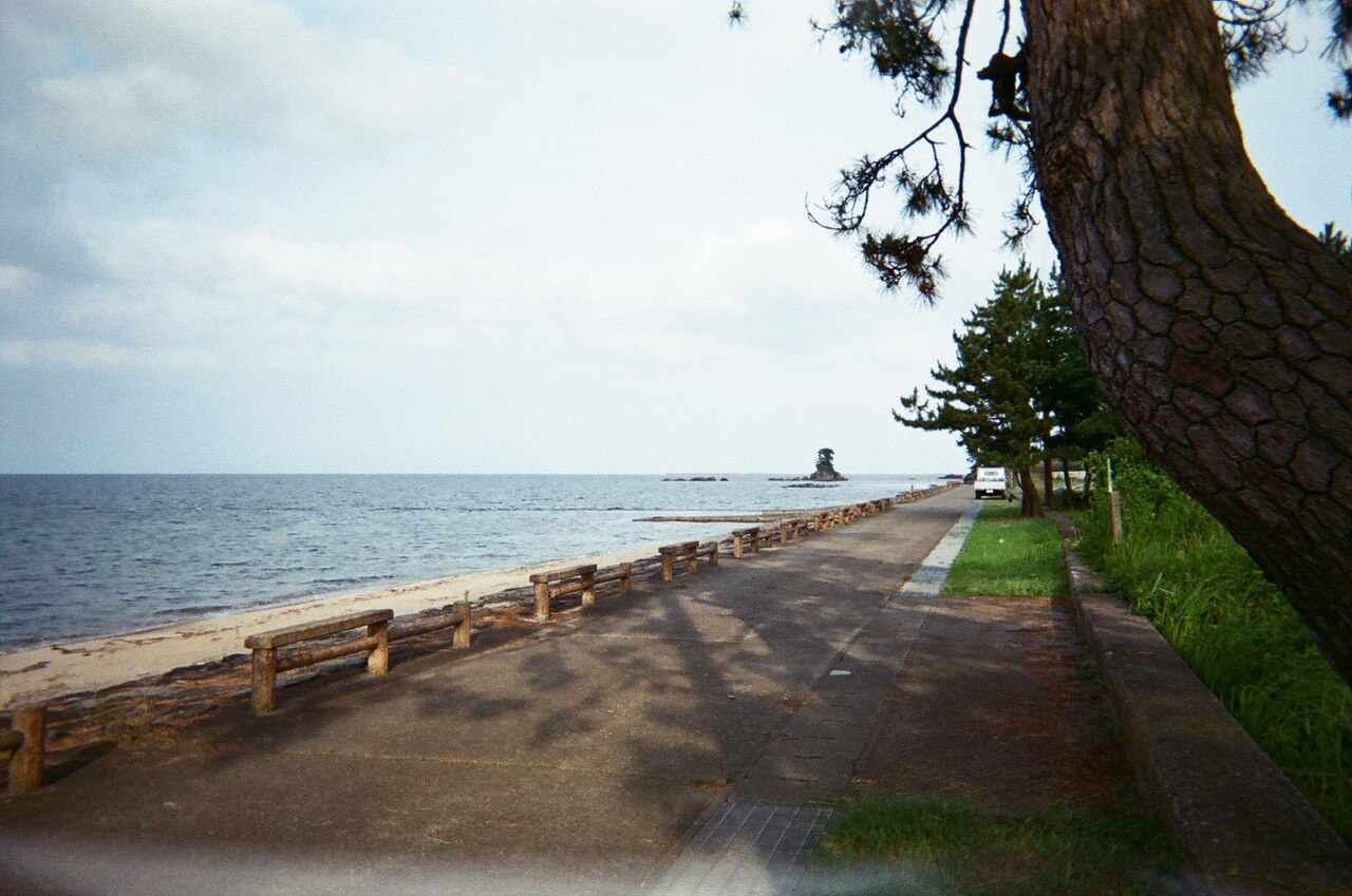 高橋文哉が撮影した写真。