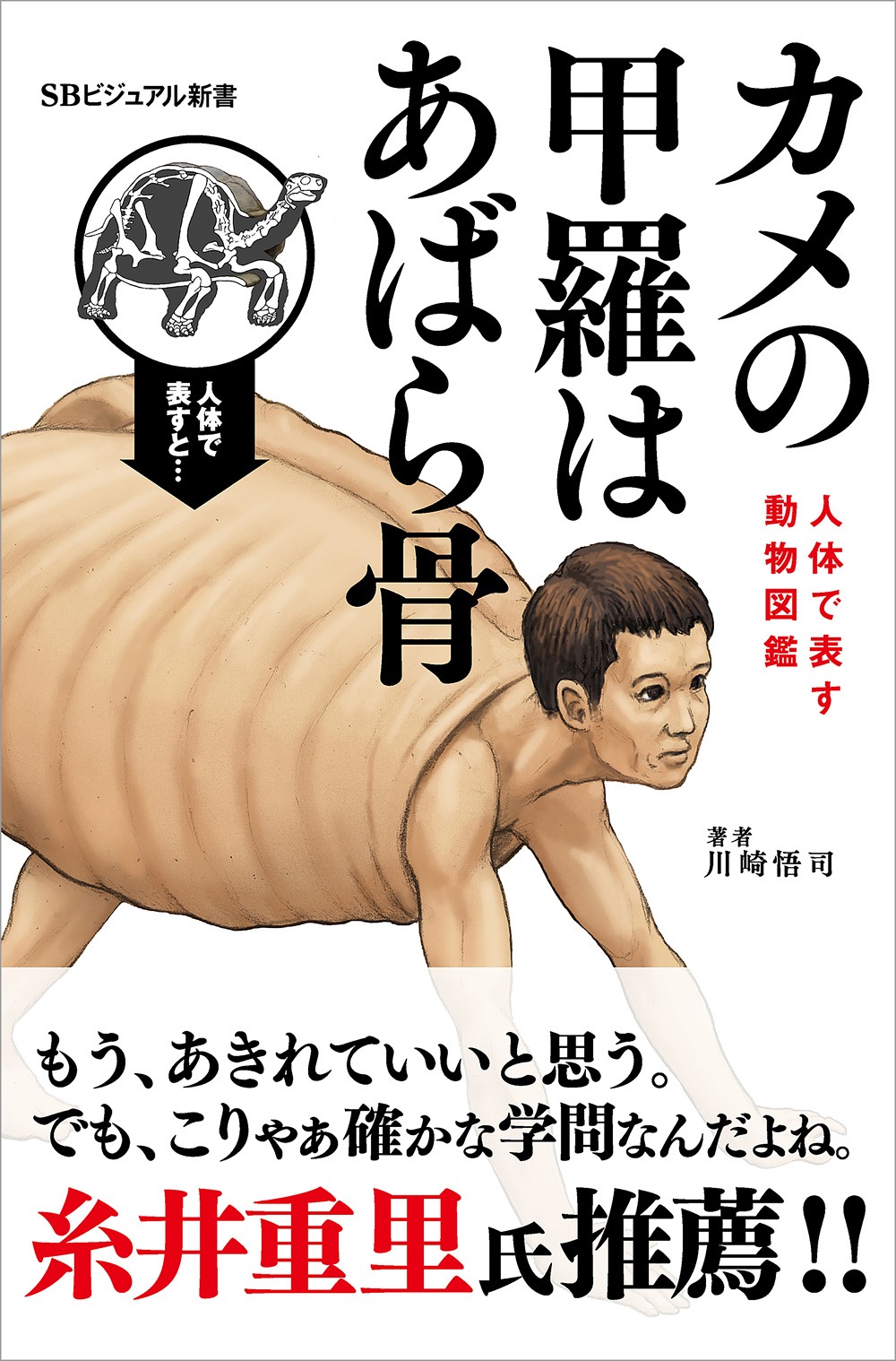 「カメの甲羅はあばら骨」原作書影