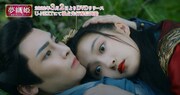 「夢織姫~秘密の貴公子に恋をして~」