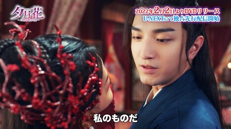 「夕月花(せきげつか)~三世を駆ける愛~」