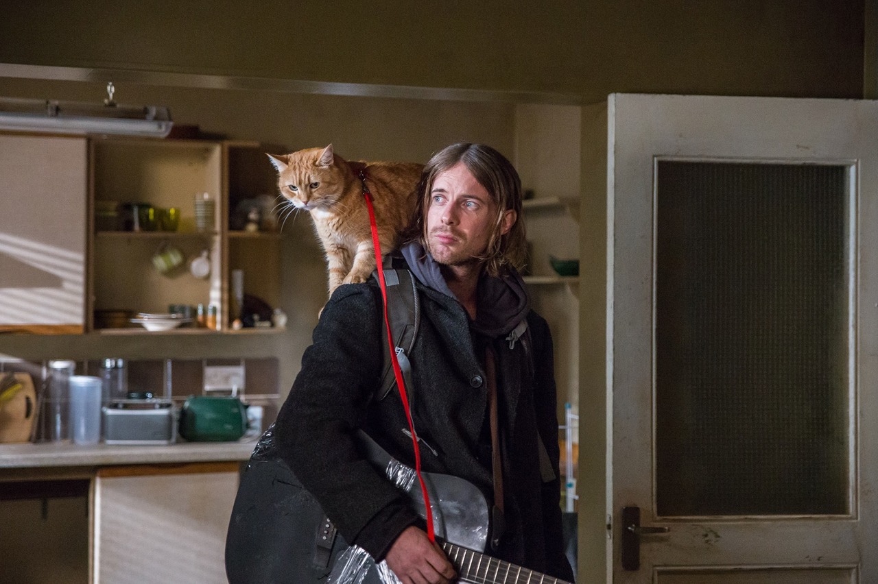 「ボブという名の猫2 幸せのギフト」新場面写真
