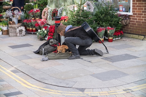 「ボブという名の猫2 幸せのギフト」新場面写真