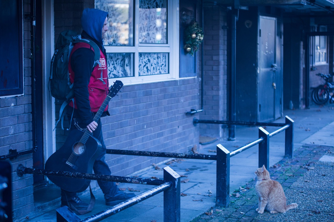 「ボブという名の猫2 幸せのギフト」新場面写真