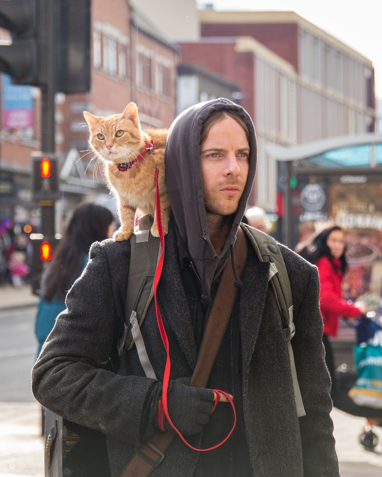 「ボブという名の猫2 幸せのギフト」新場面写真