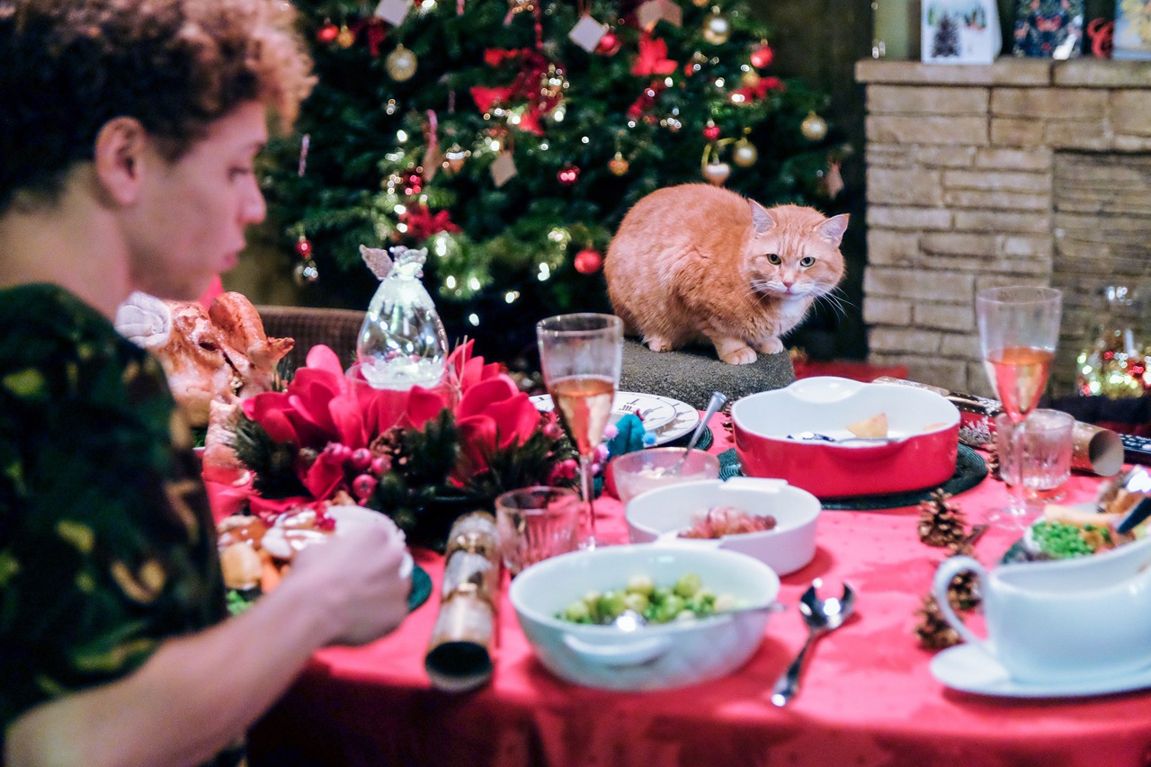 「ボブという名の猫2 幸せのギフト」新場面写真
