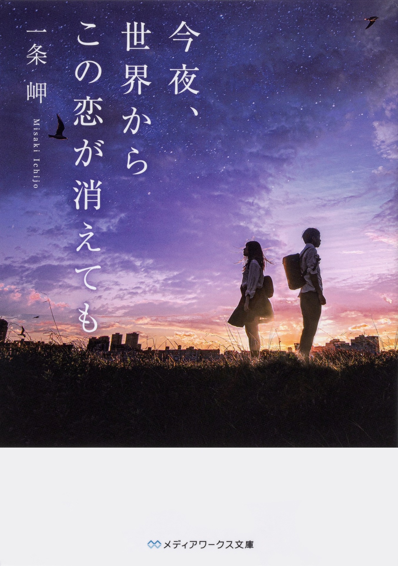 「今夜、世界からこの恋が消えても」原作書影