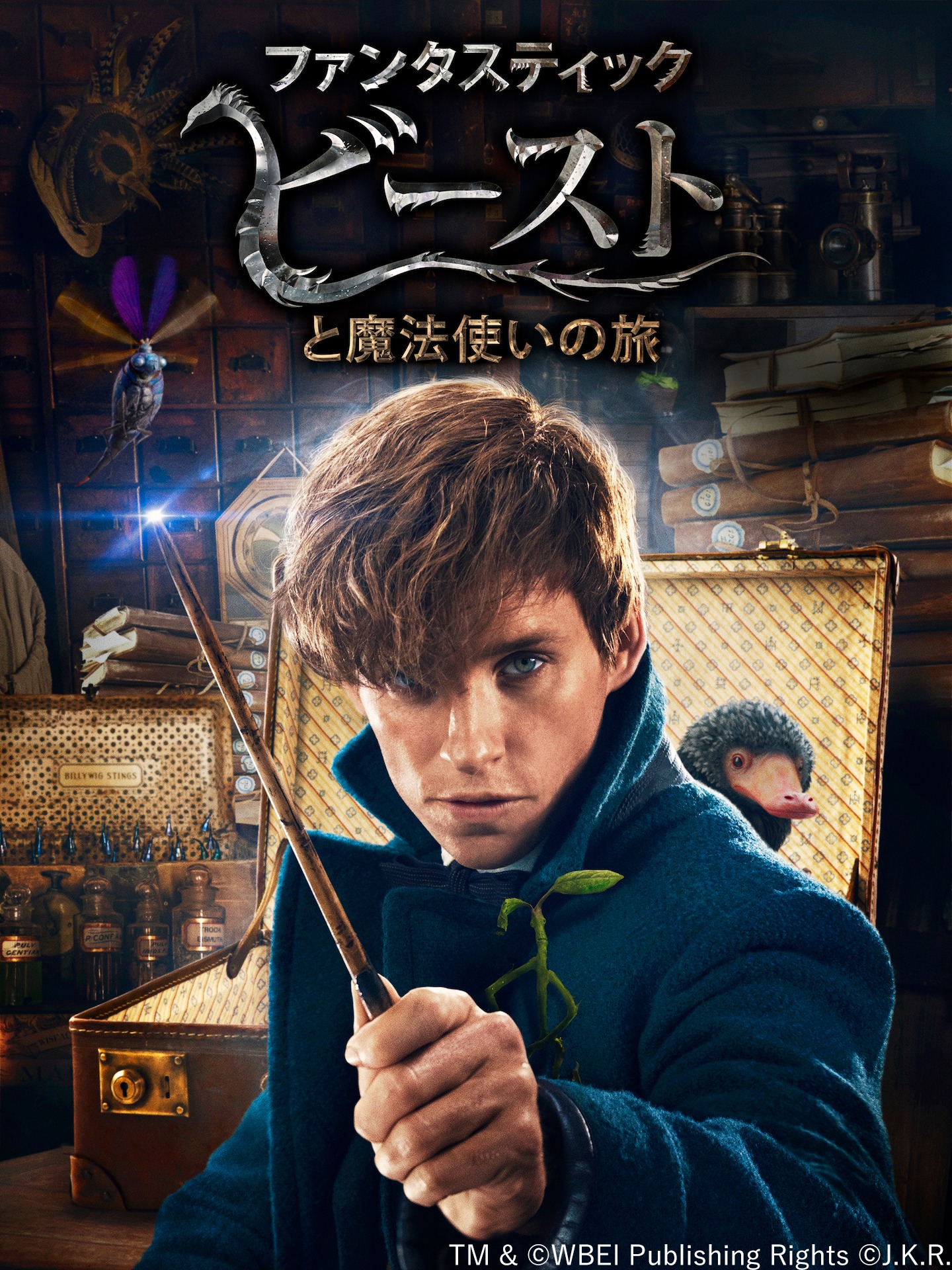 「ファンタスティック・ビーストと魔法使いの旅」ビジュアル