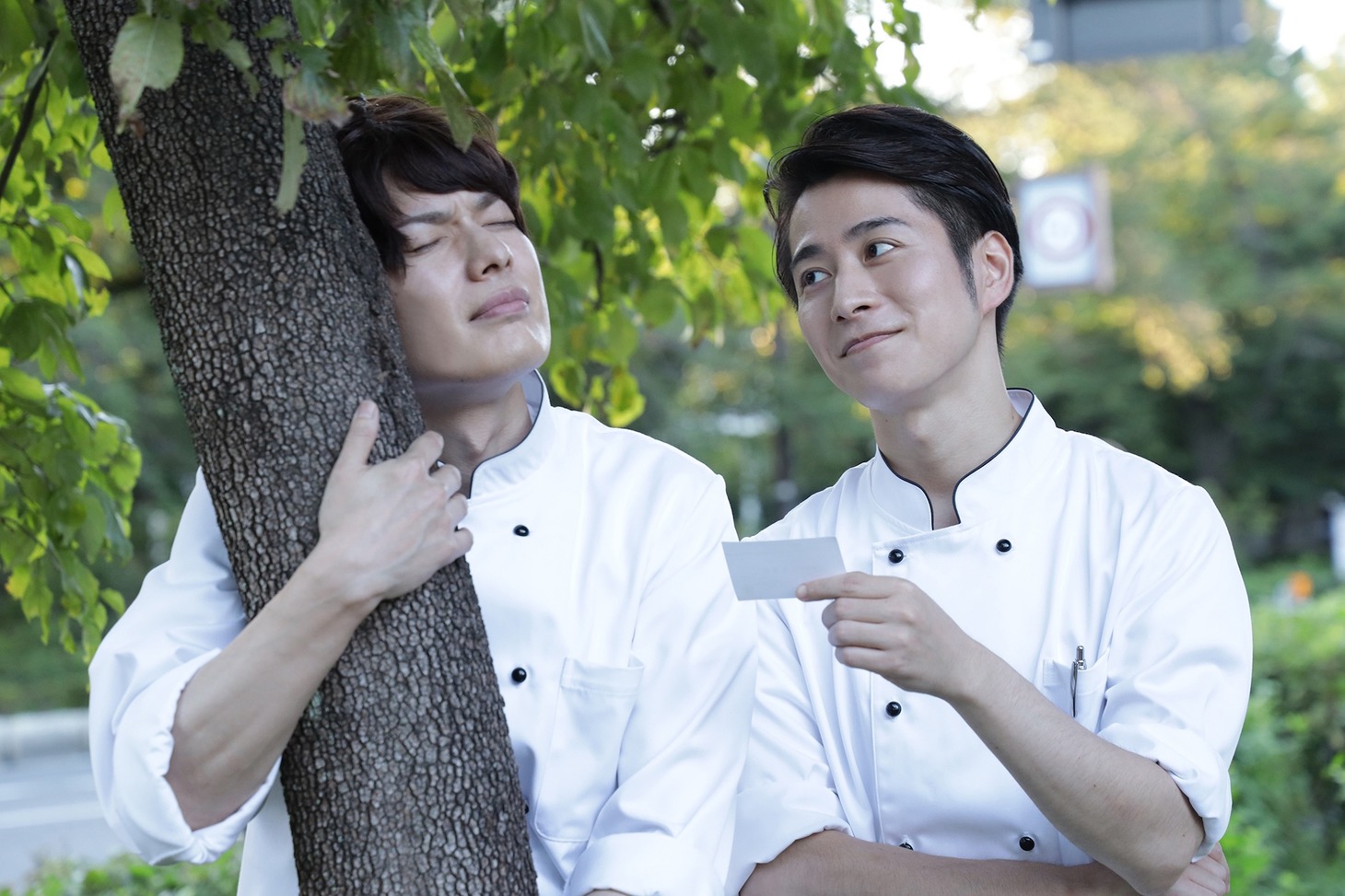 映画「パティシエさんとお嬢さん」場面写真