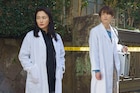 仲間由紀恵主演「女王の法医学2」放送、松村北斗は“ちょっと落ち着いたワンコ”に