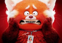 「私ときどきレッサーパンダ」ビジュアル