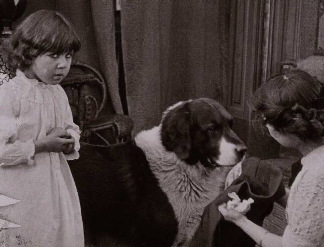 「刑事の犬」