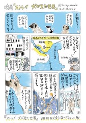 「ストレイ 犬が見た世界」×市川ラクのコラボマンガ連載、著名人のコメント到着