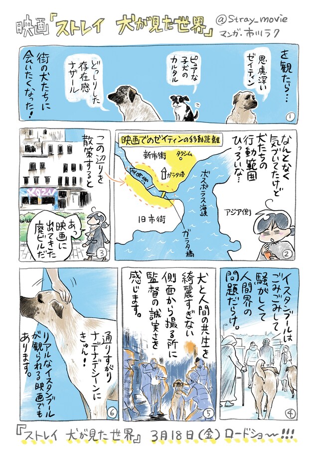 「『ストレイ』イスタンブール通信」第1話