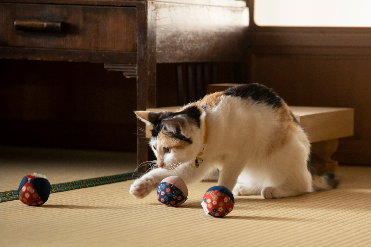 「ねこ物件」
