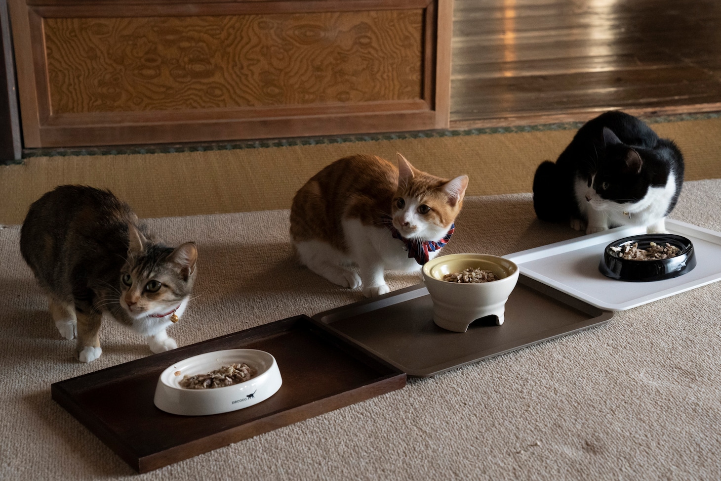 「ねこ物件」