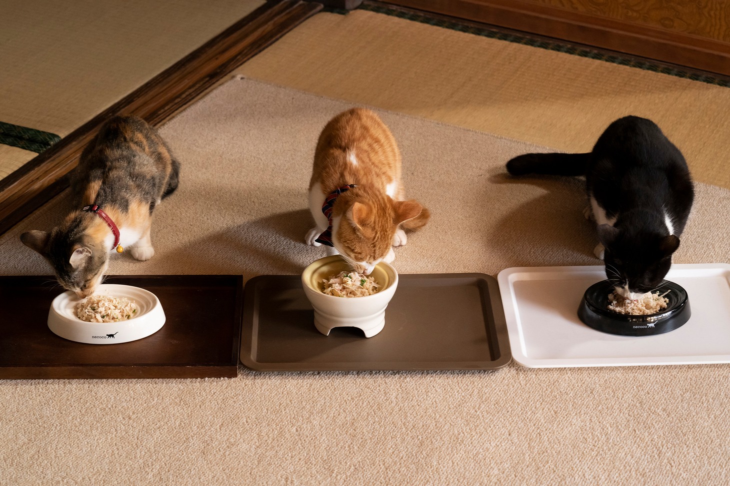 「ねこ物件」
