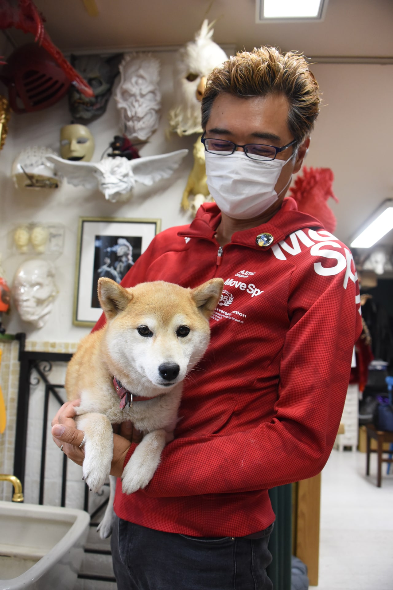 百武の愛犬・チルチルちゃん。取材中も事務所内でじっと耳を傾けていた。