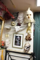 百武スタジオの事務所にて。百武が携わった作品に登場するマスクなど。