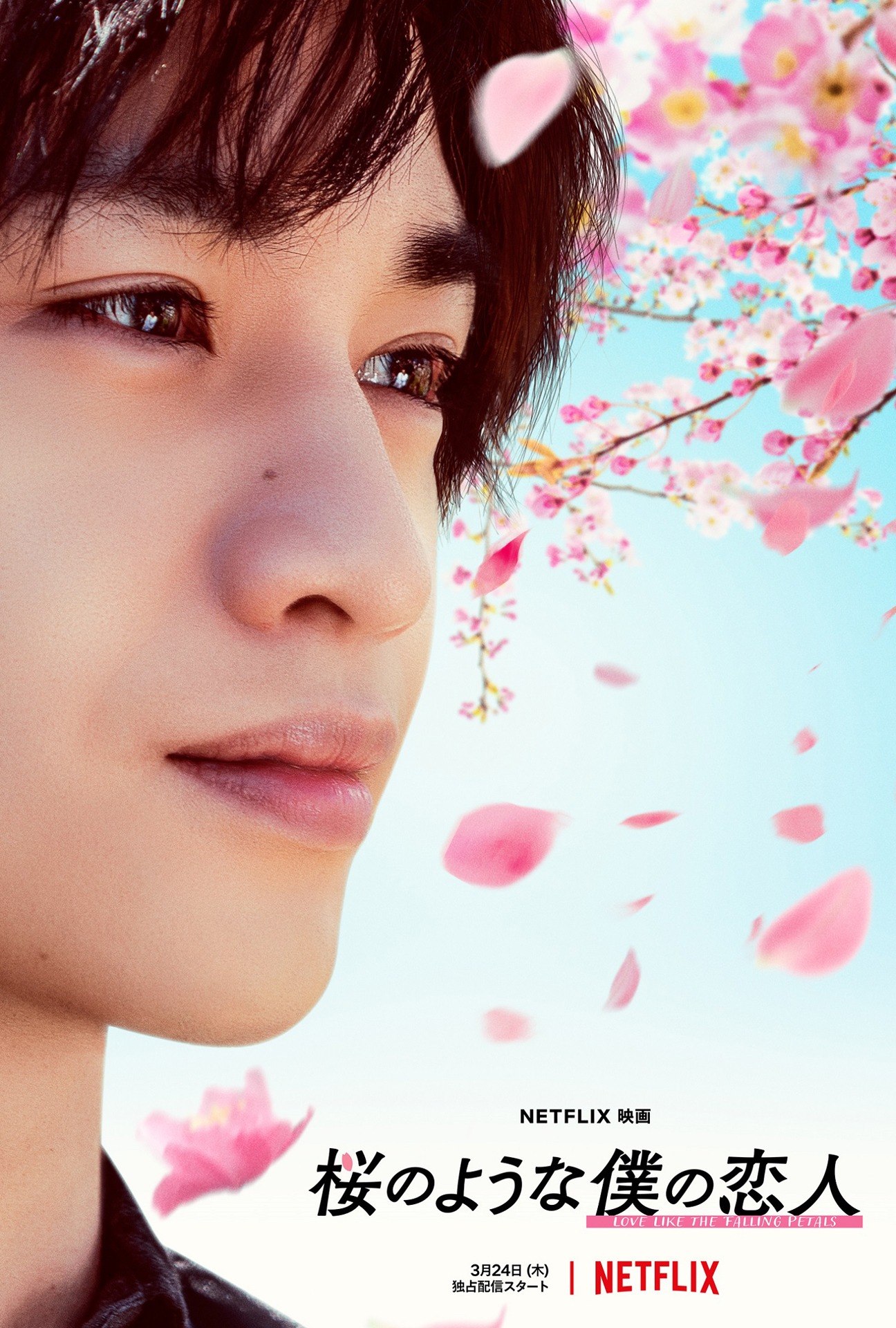 「桜のような僕の恋人」キャラクターアート（朝倉晴人）