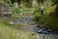 「MEMORIA メモリア」新場面写真