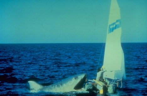 「ジョーズ2」 (c)1978 Universal Studios. All Rights Reserved.