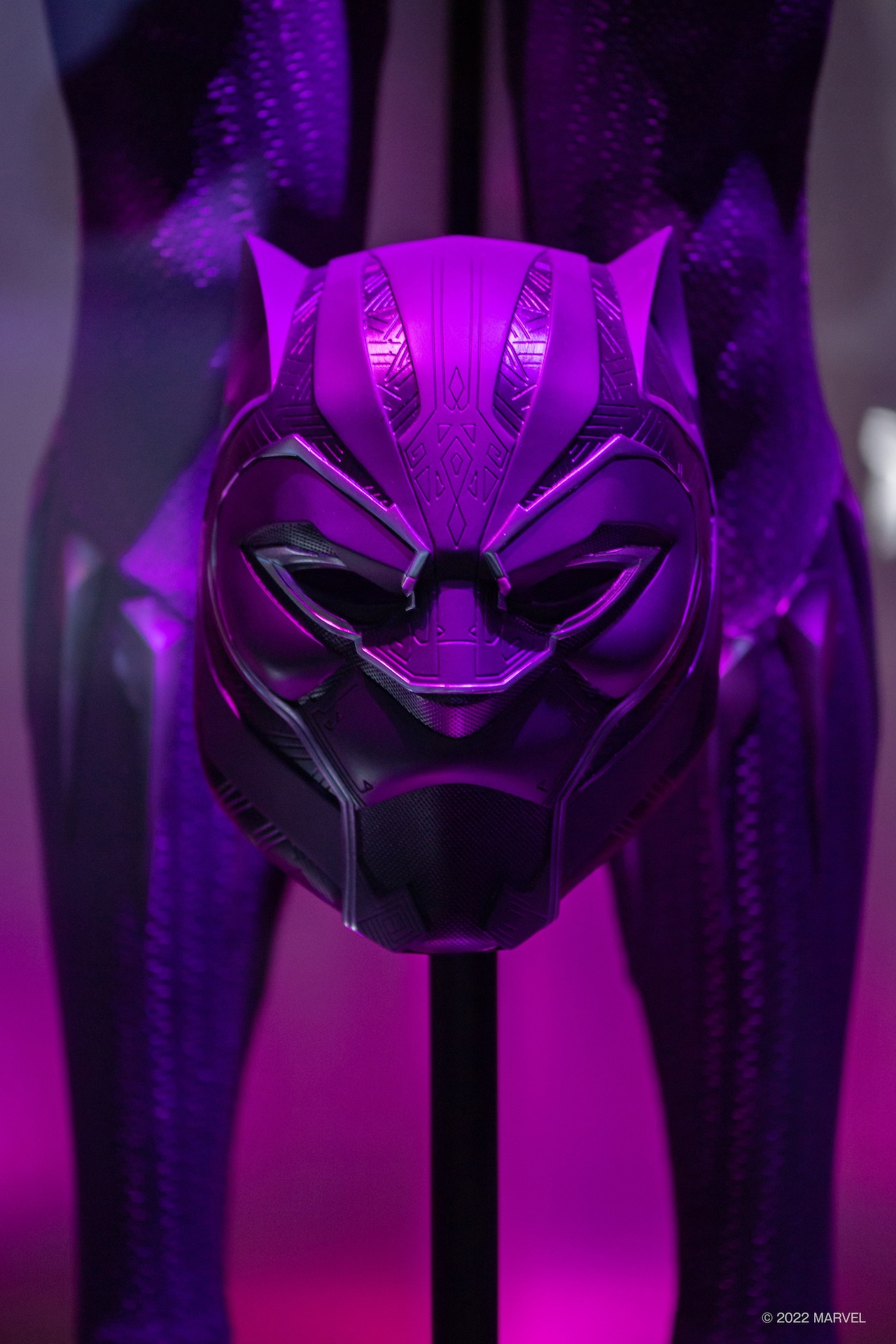 ブラックパンサーのマスク。