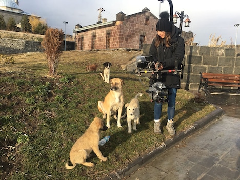 「ストレイ 犬が見た世界」メイキング写真